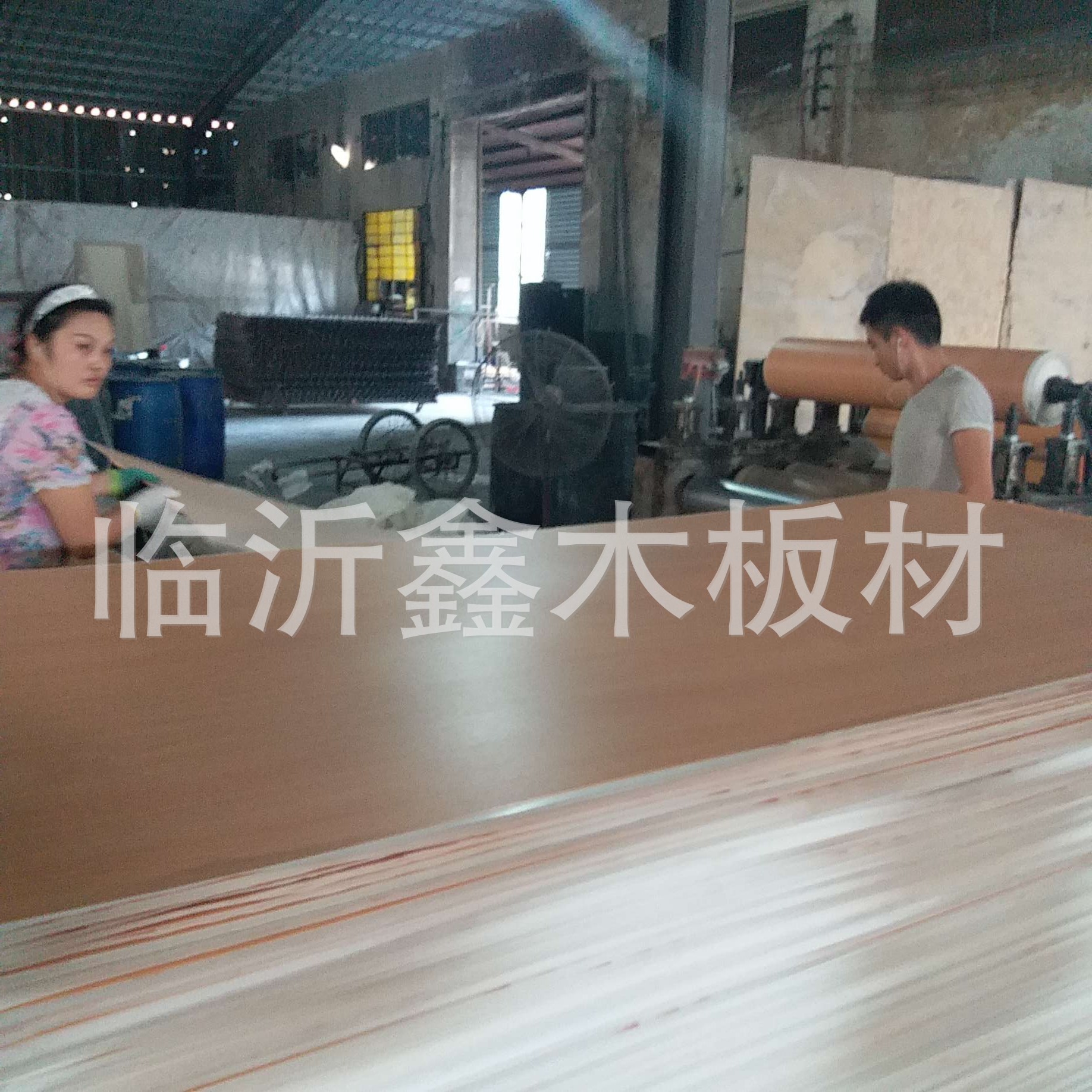 PVC贴面桉木芯胶合板