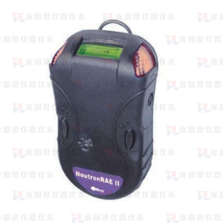 美国华瑞 RAE NeutronRAE IIX、Y 、中子射线快速检测仪 PRM-3021