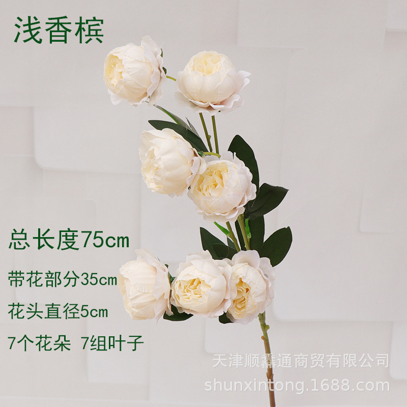 7头玲珑牡丹浅香槟2.jpg