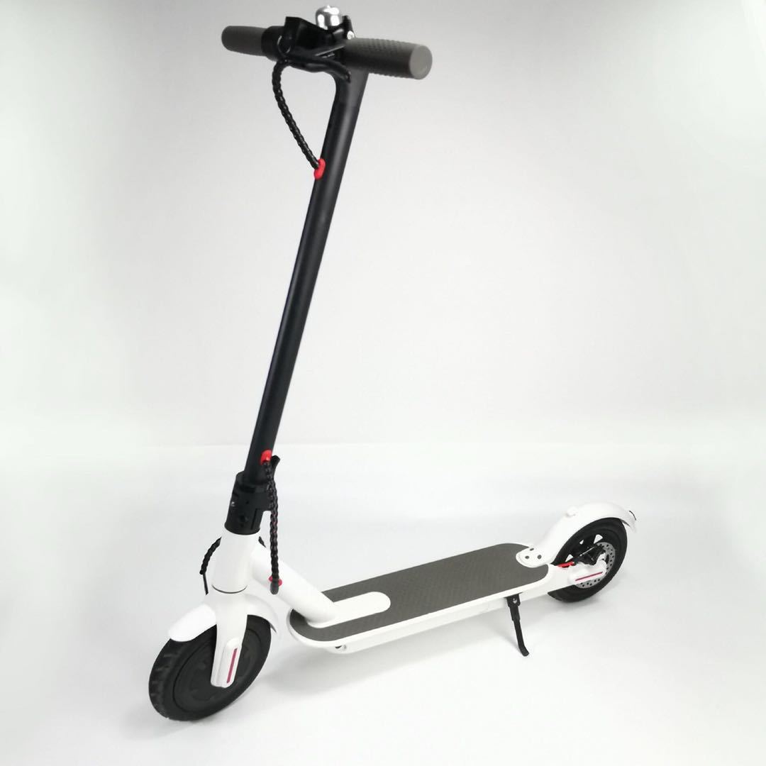 folding electric scooter