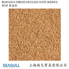 【燕麦粒】澳大利亚原产燕麦粒  Kiln Dried Hulled Oats