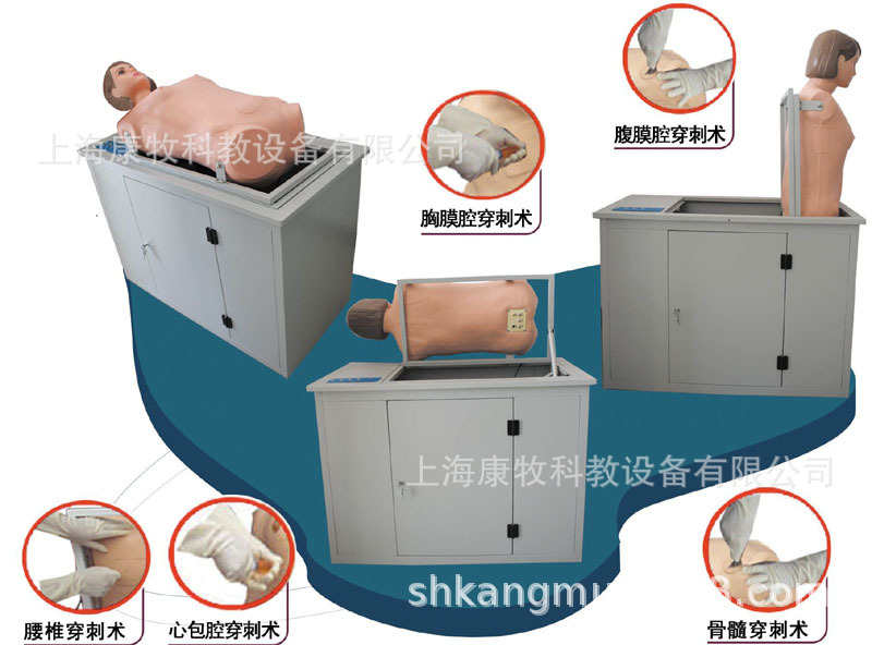 全自动多种穿刺叩诊电脑训练模型