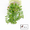 Artificial succulent plant window Decoration Flower head accessories Outdoor indoor background wall Plant simulation flower succulent