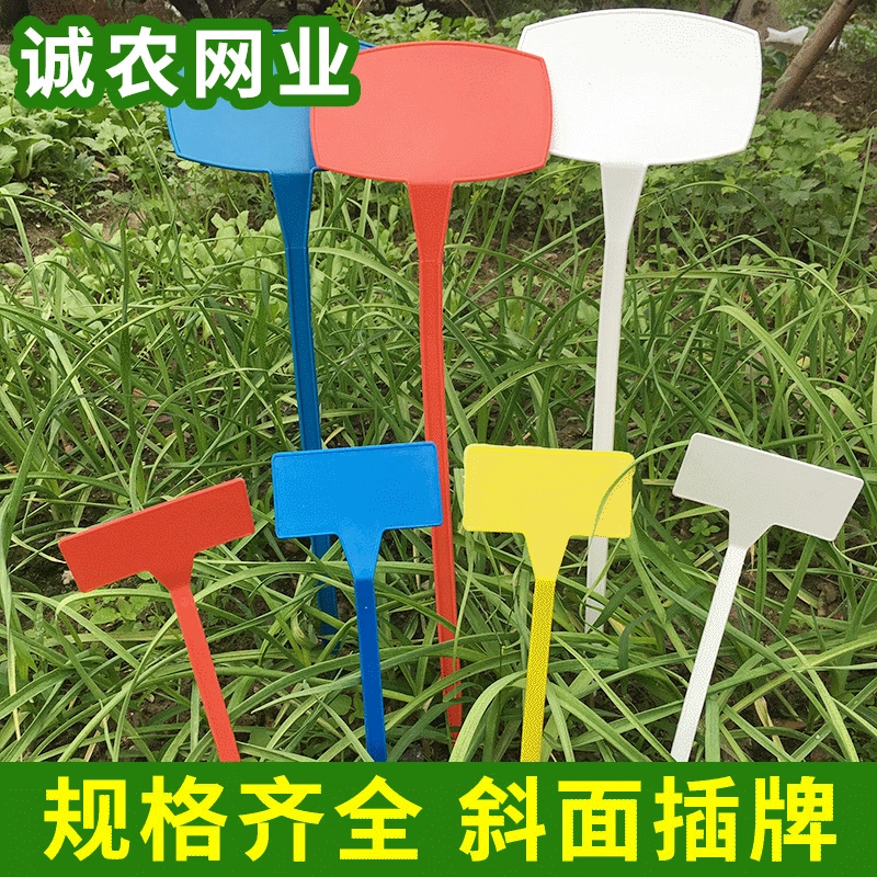 Производители поставляют карты земли для написания цветных садоводческих полевых испытаний