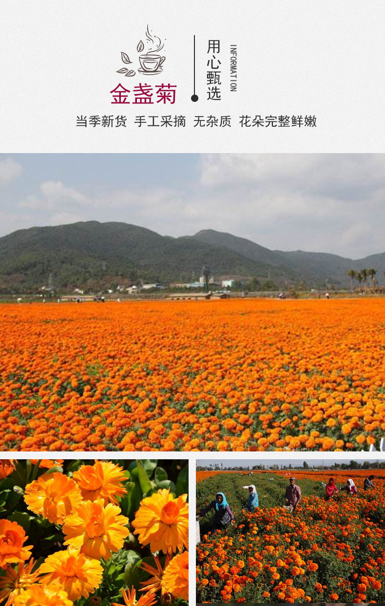 Calendula Dried Flowers (Calendula officinalis) — 500g Loose Pure Petals Herbal Tea key features