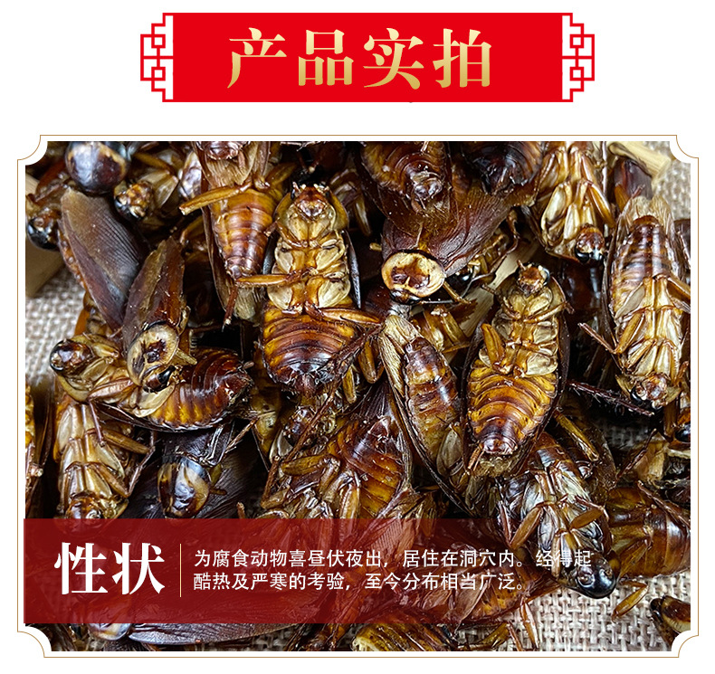 Dried Cockroach Whole Insect Yan Lang 500g Traditional Chinese Herbal Material Sun Dried key features