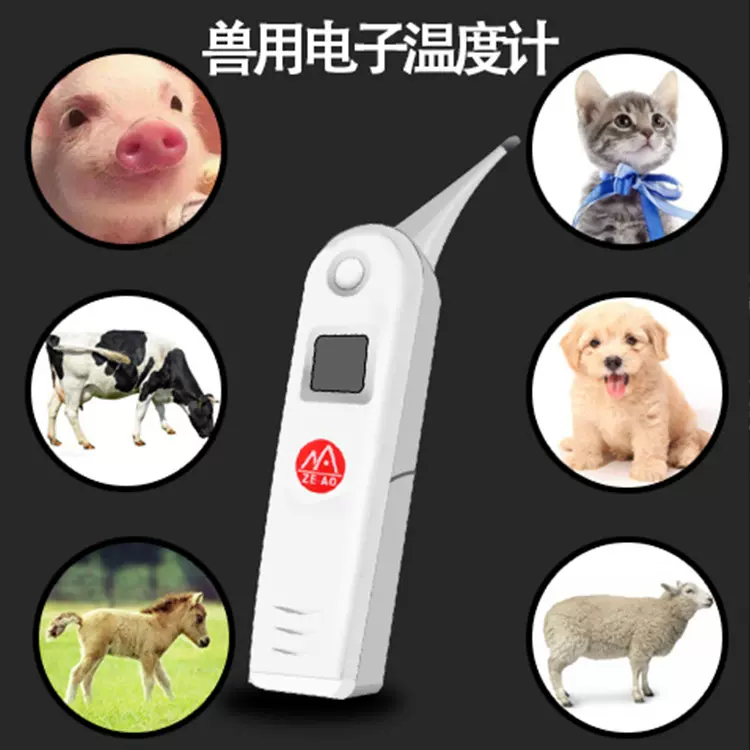 兽用肛温计养殖场用电子温度计猪狗猫牛羊马宠物测温仪快速测温计