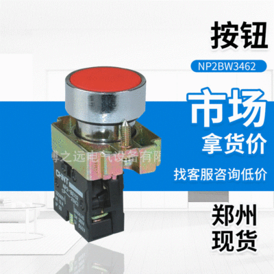 正泰NP2-BW3462自复位按钮带灯 220V 金属