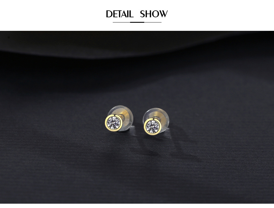 Boucles D&#39;oreilles Rondes Simples En Argent Zircon display picture 3