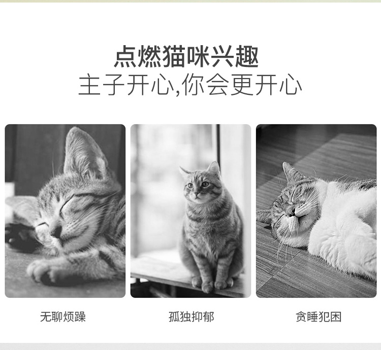 逗猫棒_02