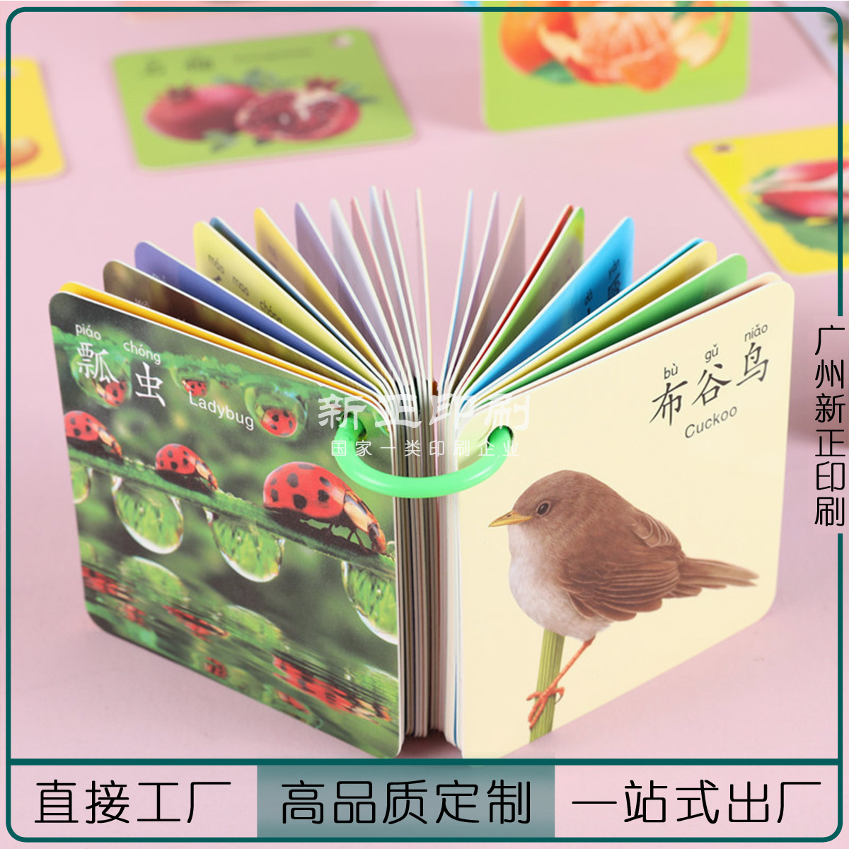 定做儿童识字卡片拼音英语单词卡唐诗动物卡片本线圈小本子定制