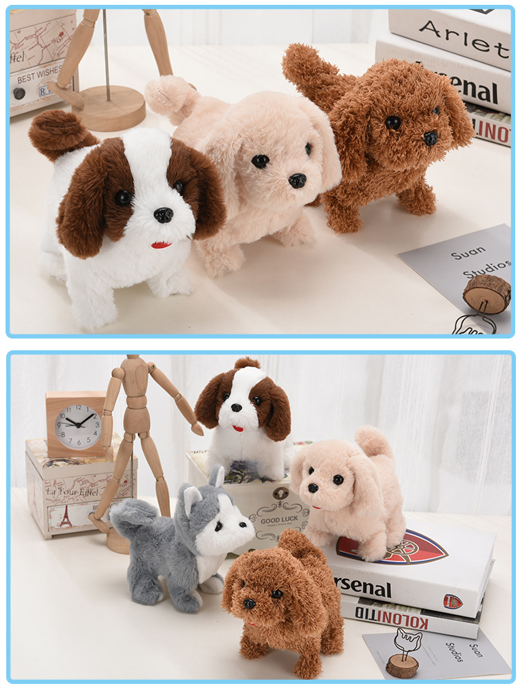 泰迪金毛哈士奇柯基小狗详情页_07