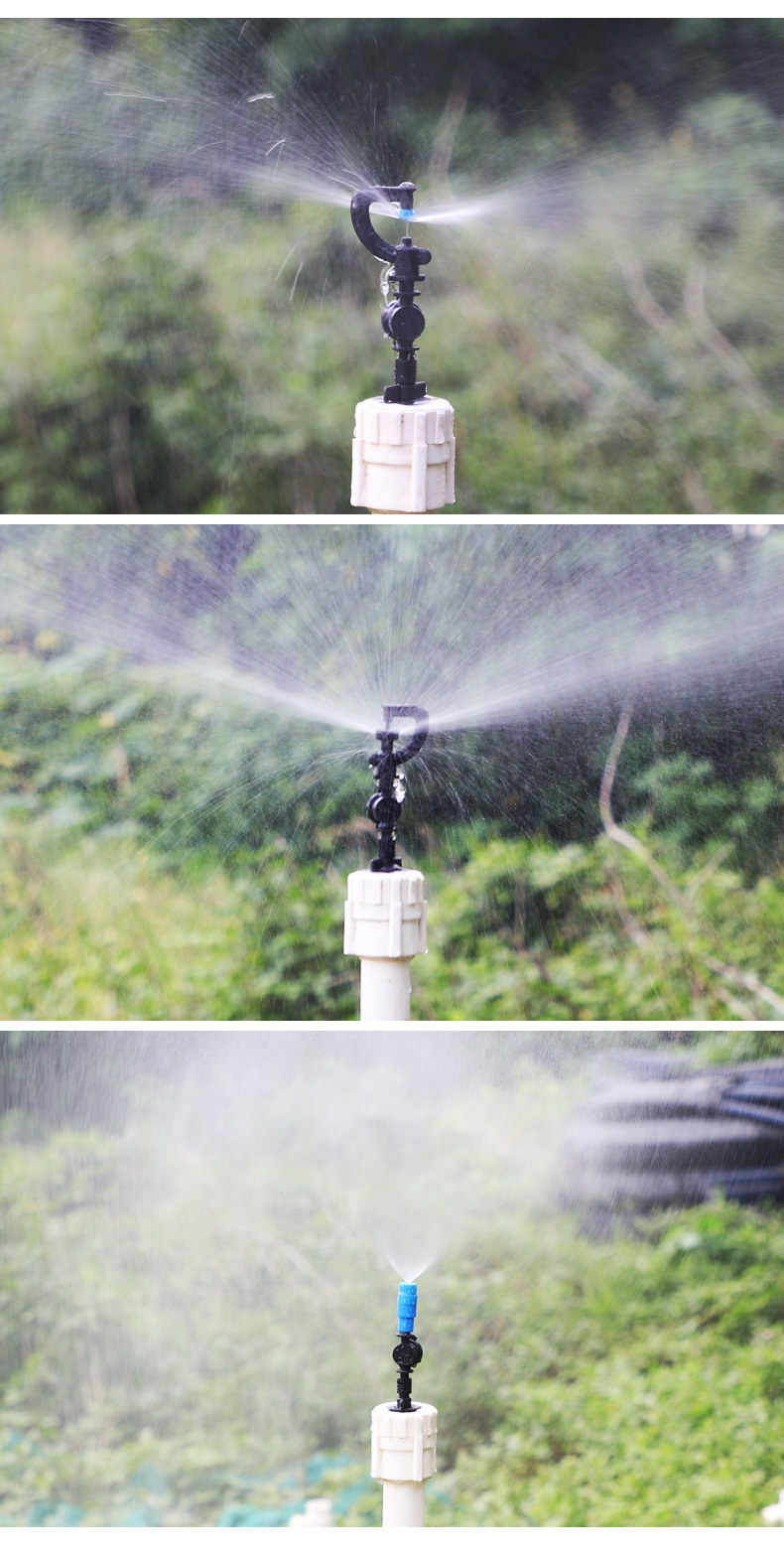 cccccccccccccccccccccccccccc-恢