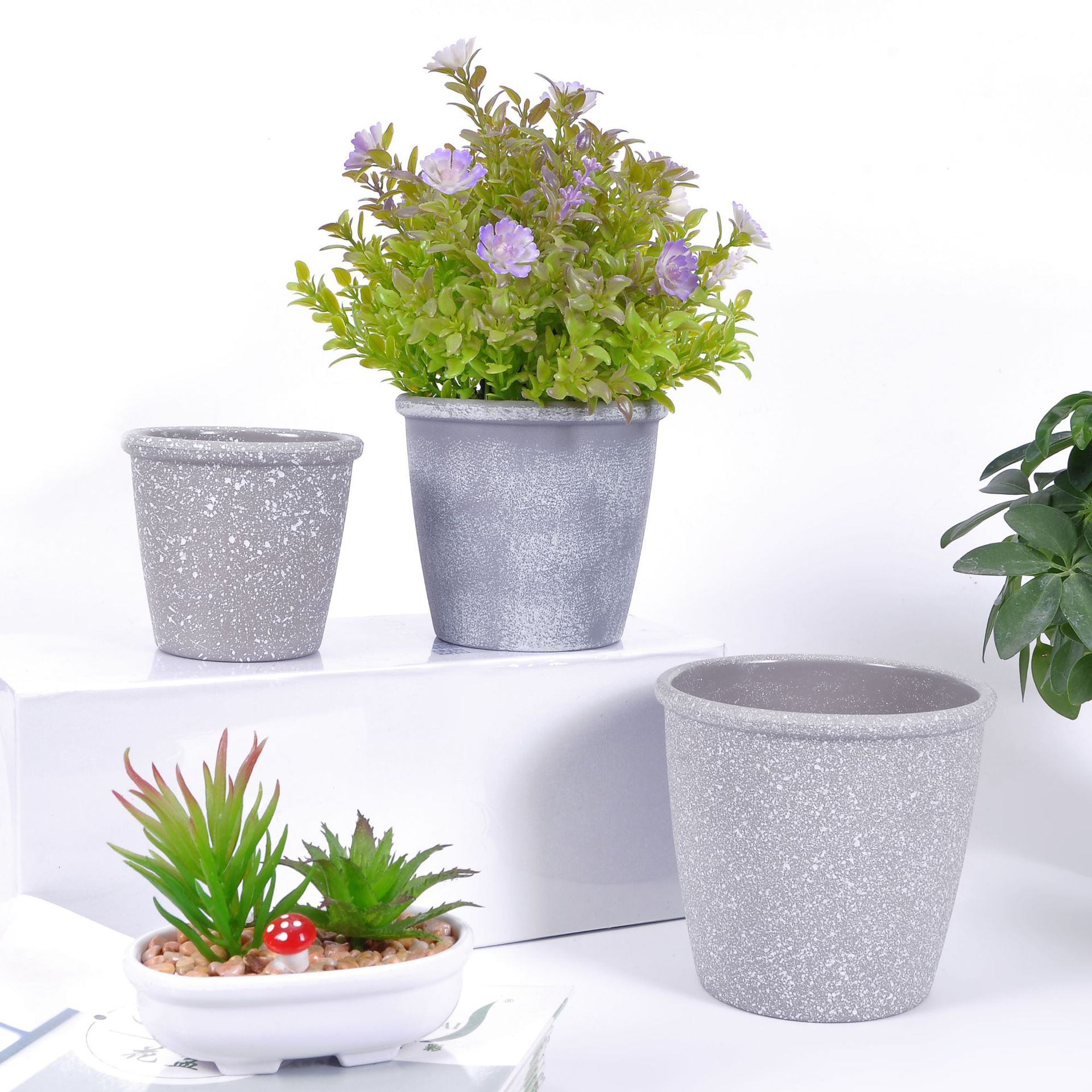 The manufacturer supplies simple Nordic retro cement round thick-mouthed tabletop potted green plant POTS and succulent flower POTS detail image 5
