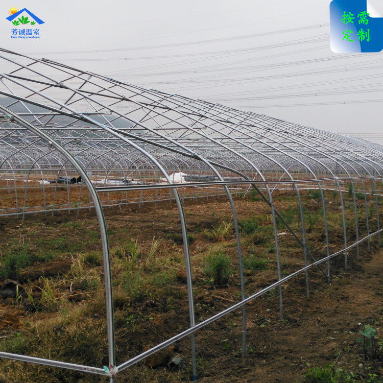 大棚骨架（5）