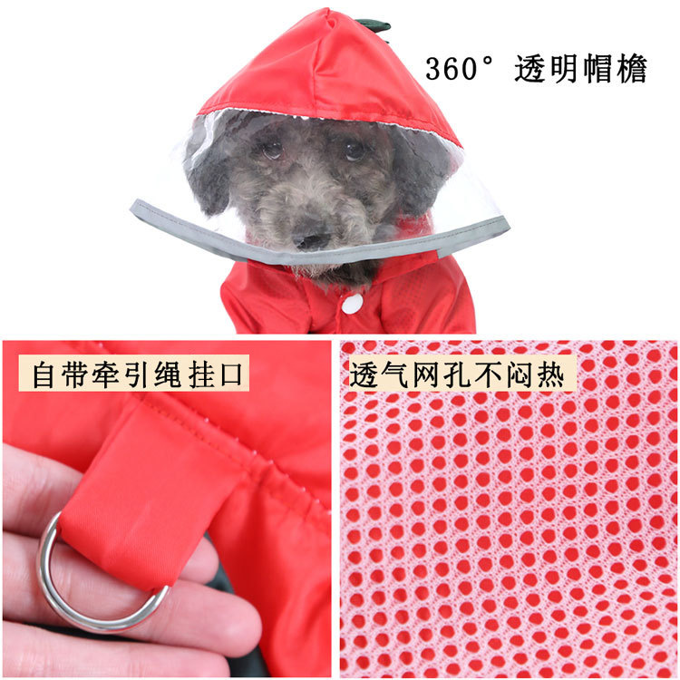 14174004409_1119372358