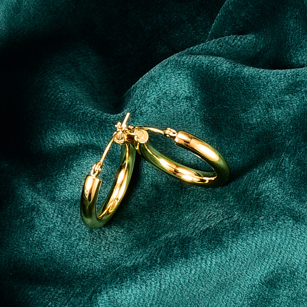 Korean Gold-plated Thick Circle Hoop Titanium Steel Earrings Wholesale Nihaojewelry display picture 5