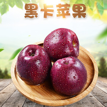 紫色水果 紫色水果品牌 图片 价格 紫色水果批发 阿里巴巴 紫色水果 紫色水果品牌 图片 价格 紫色水果批发 阿里巴巴