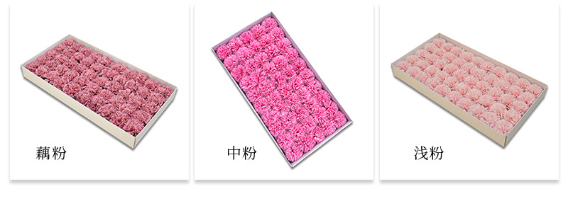 AL康乃馨详情_05