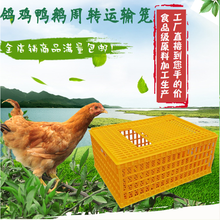 活禽周轉箱加厚塑料運輸籠成雞鴨鵝大號養殖場鴿子可疊放筐新料