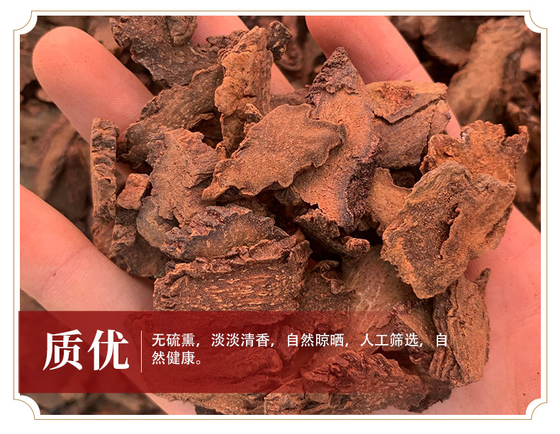 Cynomorium Songaricum Sliced Suo Yang Dried Herb for Herbal Wine and Decoctions 500g key features