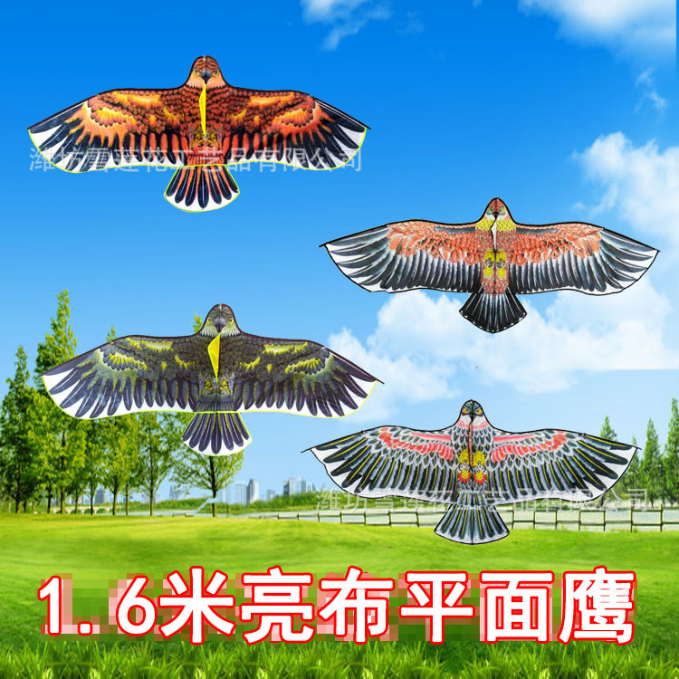 3714942284_1574699080