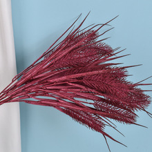 5JȔβͲݼٻcώëJȔSƿĻ