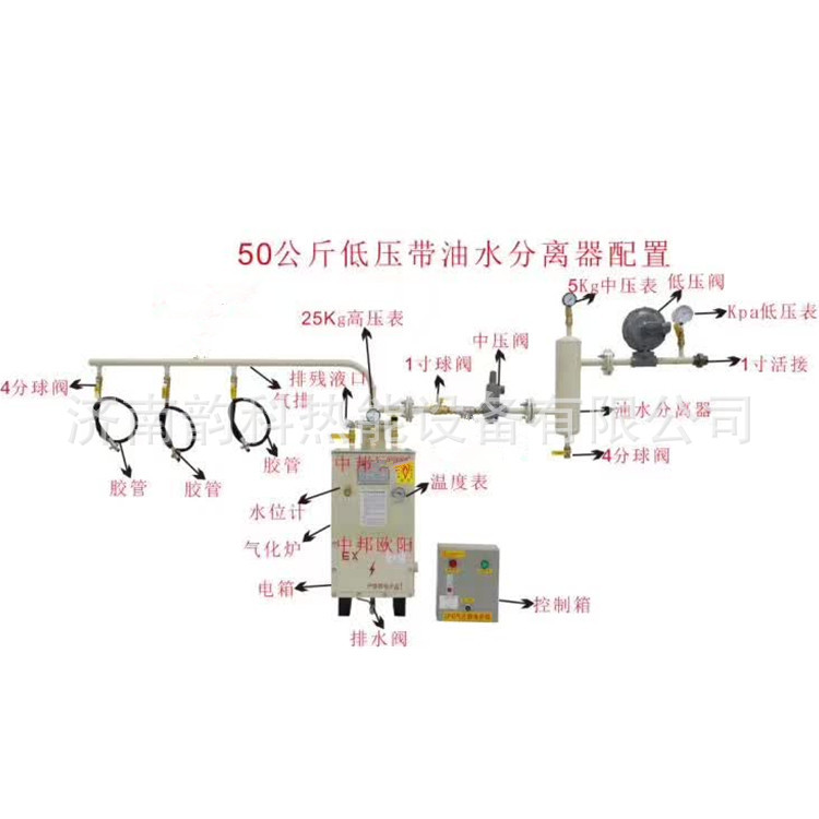 Gasifier LPG Industrial furnaces Jobon explosion-proof Gasifier ZPEX50kg Certificate