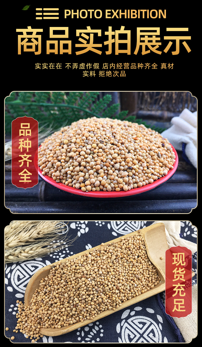 White Mustard Seed Bai Jie Zi 500g Dried Sinapis Alba Seeds Bulk Herbal Ingredient in use