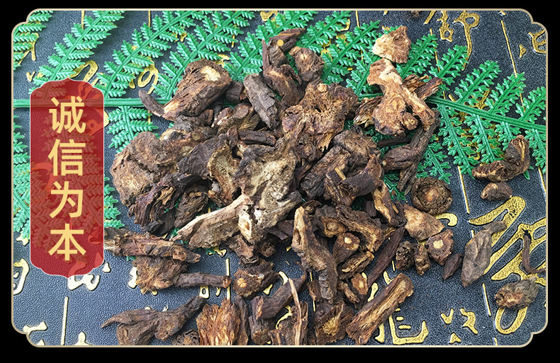 Dried Qin Jiao Large-Leaf Gentian Root Qinjiao Yunnan Loose Bulk Traditional Herb in use
