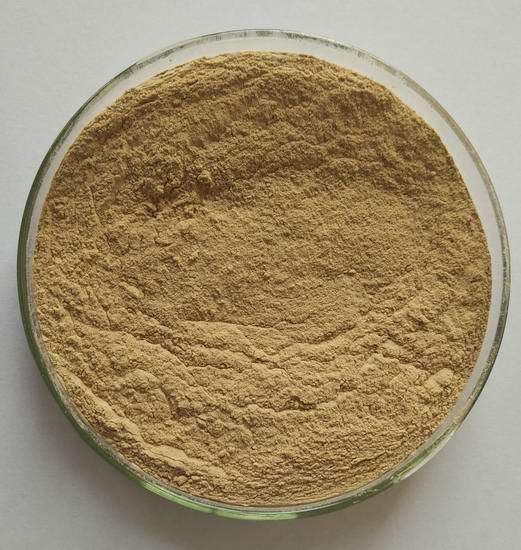 高活性稳定性益生菌——地衣芽孢杆菌