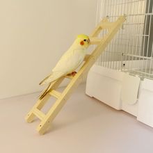 鵡悅 鸚鵡用品鳥梯子玩具樓梯站桿鳥籠配件虎皮牡丹玄鳳小太陽