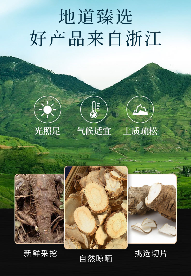 Bai Zhi (Angelica dahurica) — Fragrant Dried Root, Food Herb for Soup & Tea overview