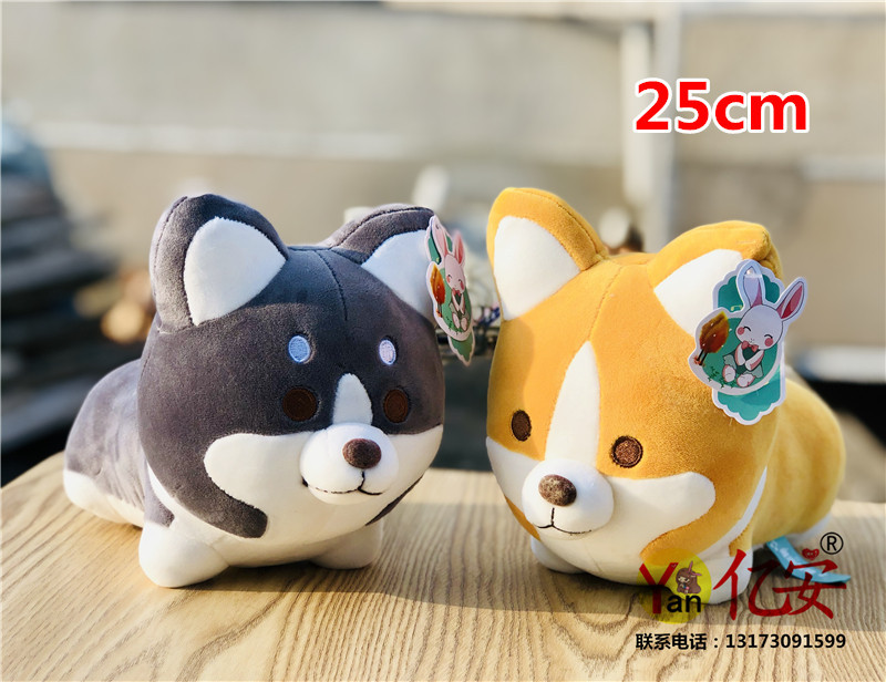 微信图片_20201029140811