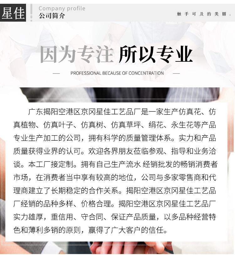 揭阳空港区京冈星佳工艺品厂详情页_15