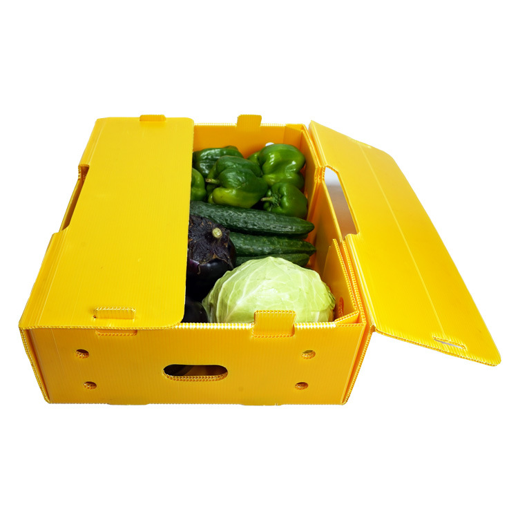 厂家批发中空板周转箱 中空板箱瓦楞板塑料万通板各种规格尺寸