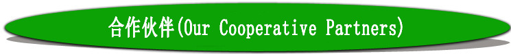 合作伙伴