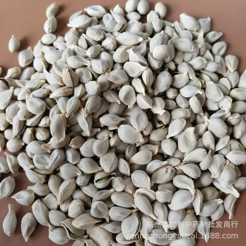 Dried Tangerine Seed Ju He 500g Whole Citrus Seeds Raw Herb for Decoction key features