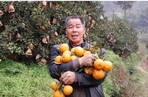 Уродливый Апельсин 5