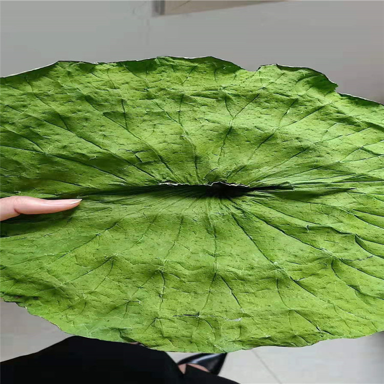 贵州桑叶茶杀青机 微波荷叶烘干设备 微波杀青机一键启动操作方便