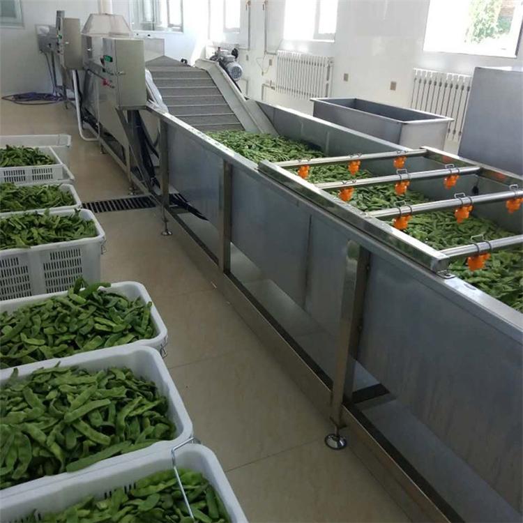 厂家水果蔬菜气泡清洗机 木耳菜气泡清洗机 鱼腥菜气泡清洗