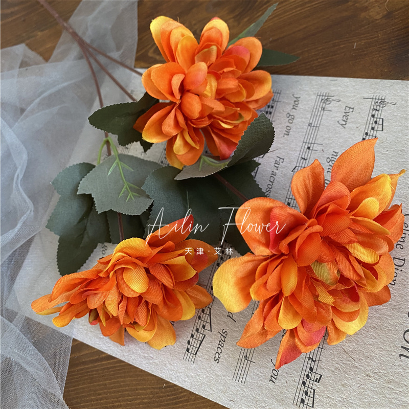3 autumn colorful flowers
