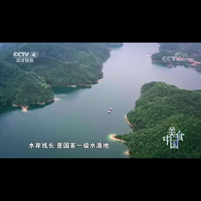 湖南嶽陽鐵山水庫魚頭  剁椒魚頭 有機魚鐵山水庫魚頭13874015185