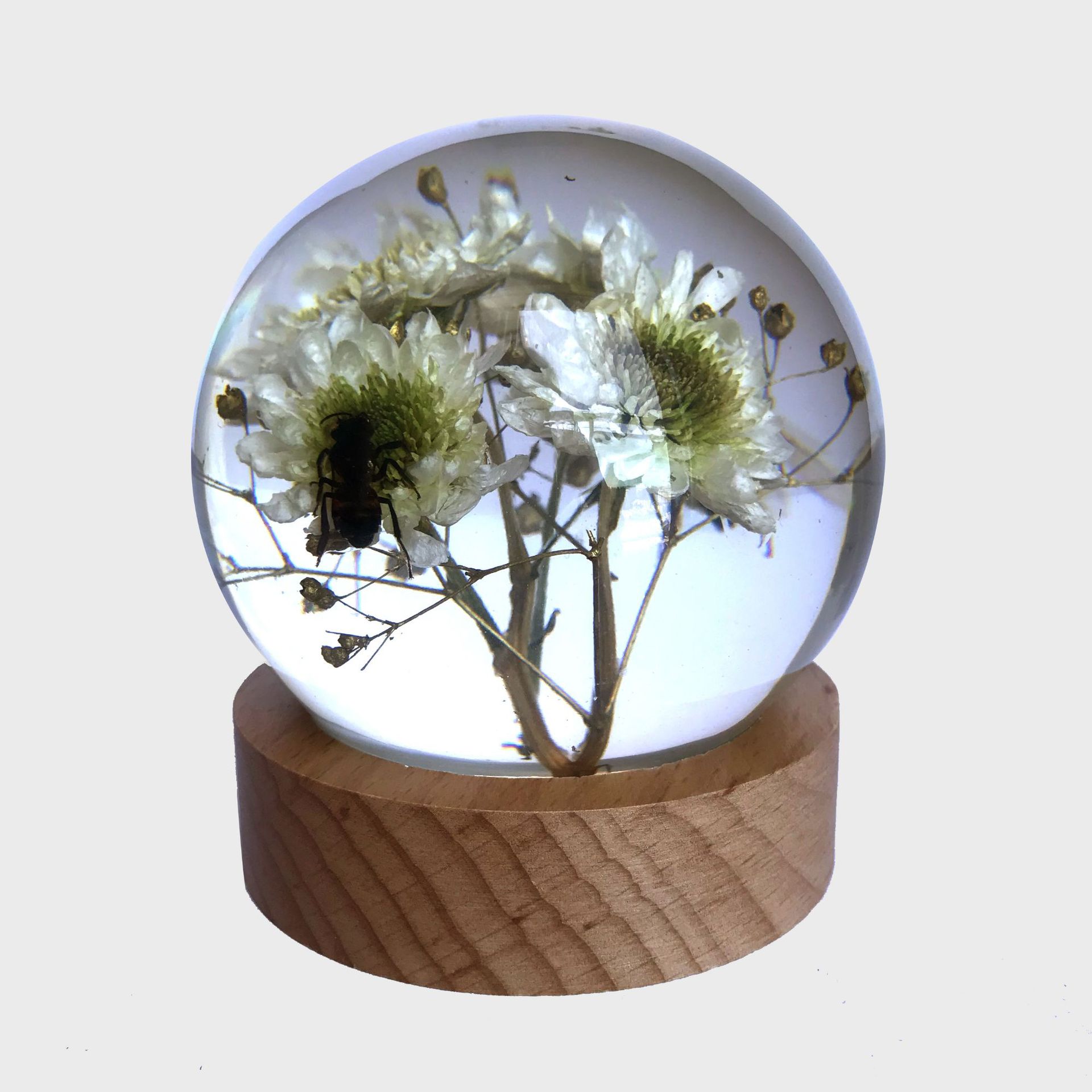 透明树脂植物干花树叶标本水晶球摆件礼品纪念品树脂工艺品摆件