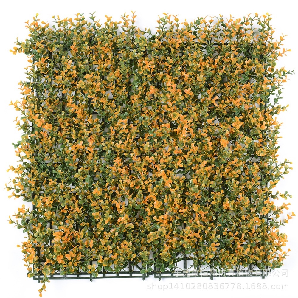 HX013383五层金钱草橙色.jpg