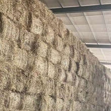 2023|ţ|/|70-80ţֲ