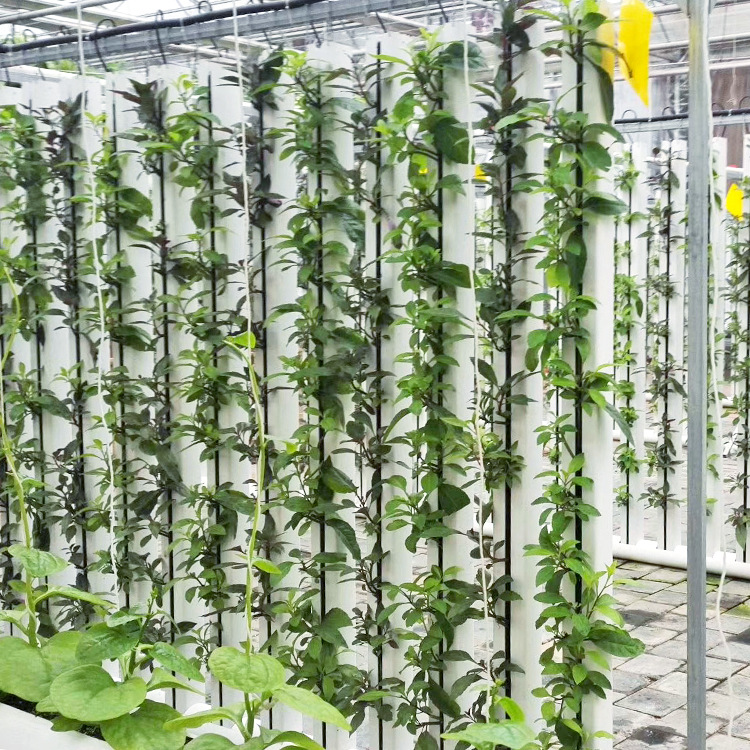 花房阳光房植物墙装饰水培管道 种植槽 水耕机 自动无土栽培系统