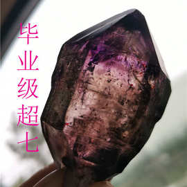 天然紫水晶超七带发骸骨原石