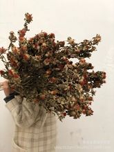 }աز}ճȲ}͹ɫfS|Џ͹ŻYлY