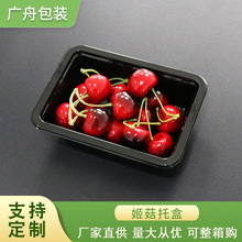 PET�����к� һ����͸���߲�ˮ����������ܸ��c���bpet���Ϻ�